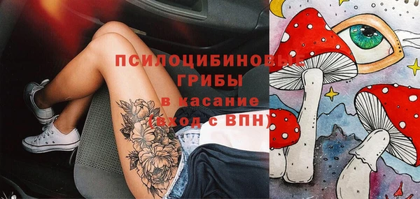 дурь Алексин