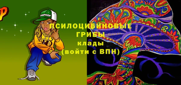 дурь Алексин