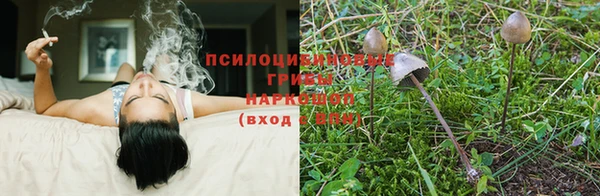 дурь Алексин