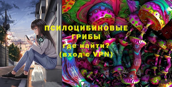 дурь Алексин